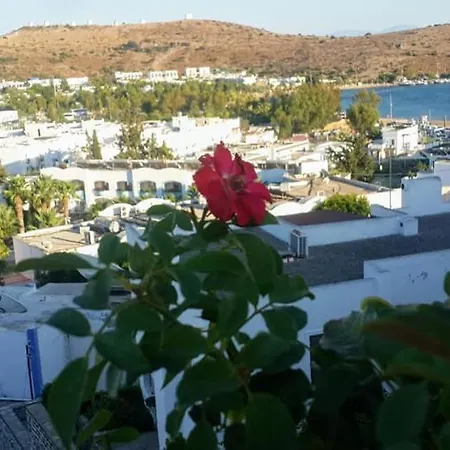 Hotel Merve Park
