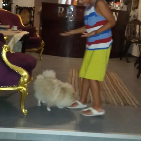 Hotel Merve Park Bitez