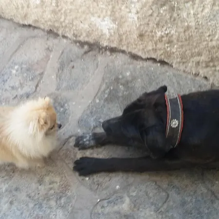 Szálloda Merve Park
